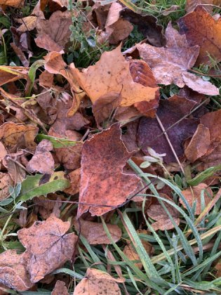 Herbst