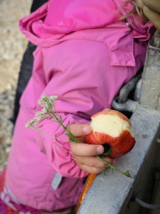Herbst