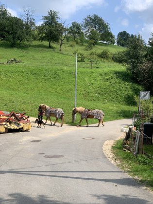 Aktionen & Ausflüge